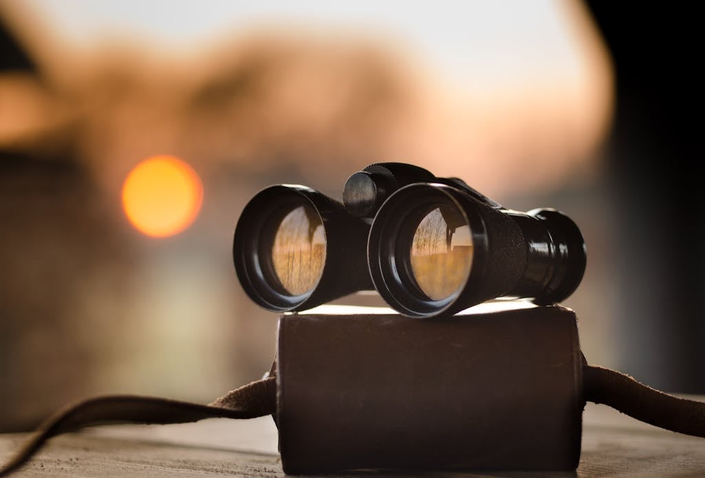 Black Binocular on Round Device